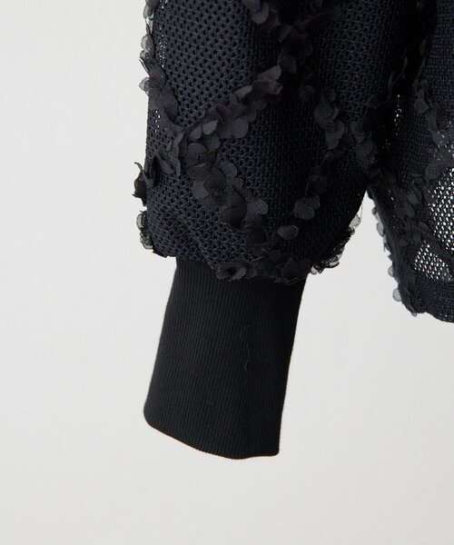 ear PAPILLONNER（イアパピヨネ）の「シアーレーススウェット【SUM1 STYLE】（Tシャツ/カットソー・レディース・ライトグレー/ブラック・FREE）」の17枚目の写真