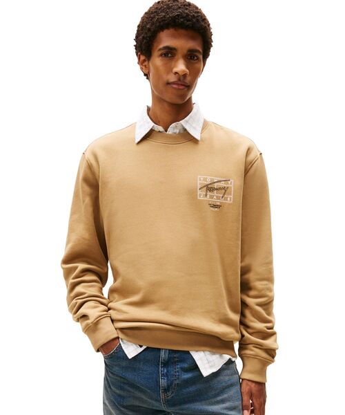 tommy jeans(トミー ジーンズ)の「レギュラーエントリープレイクルーネックスウェットシャツ(スウェット・メンズ・ブラウン/マルチ・X-LARGE/MEDIUM/LARGE/SMALL)」の1枚目の写真