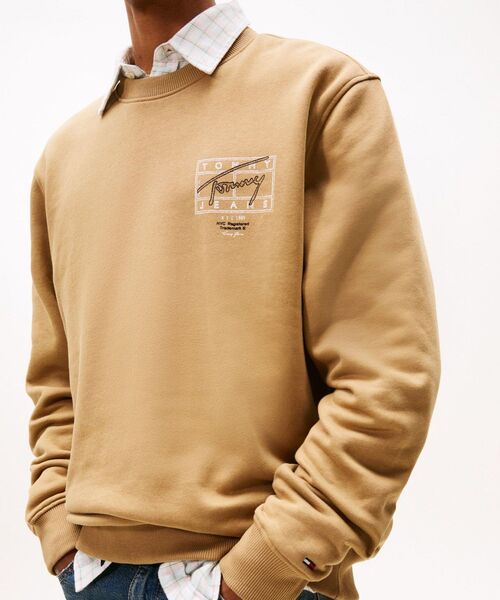 tommy jeans(トミー ジーンズ)の「レギュラーエントリープレイクルーネックスウェットシャツ(スウェット・メンズ・ブラウン/マルチ・X-LARGE/MEDIUM/LARGE/SMALL)」の8枚目の写真