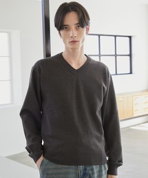 LUENNA | 【LUENNA】Basic V-Neck Knit / ベーシック Vネックニット(ニット/セーター)