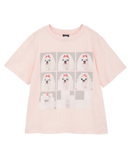 Candy Stripper(キャンディストリッパー)の「SHIH TZU LOW PIXEL Tシャツ(Tシャツ/カットソー・レディース・ピンク/ライトブルー/オフホワイト/チャコール・M/XL/L)」の4枚目の写真