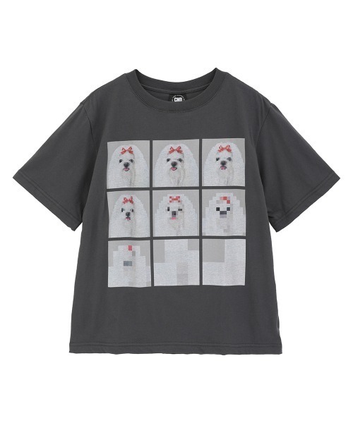 Candy Stripper(キャンディストリッパー)の「SHIH TZU LOW PIXEL Tシャツ(Tシャツ/カットソー・レディース・ピンク/ライトブルー/オフホワイト/チャコール・M/XL/L)」の3枚目の写真