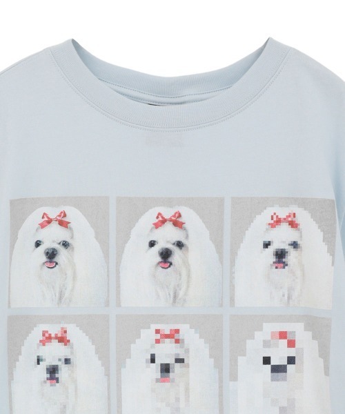 Candy Stripper(キャンディストリッパー)の「SHIH TZU LOW PIXEL Tシャツ(Tシャツ/カットソー・レディース・ピンク/ライトブルー/オフホワイト/チャコール・M/XL/L)」の13枚目の写真