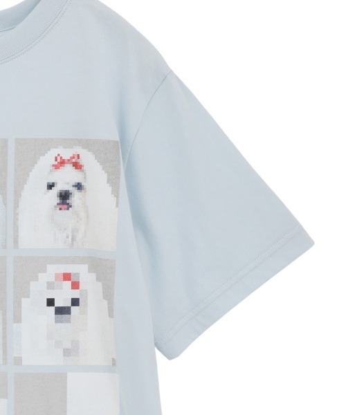 Candy Stripper(キャンディストリッパー)の「SHIH TZU LOW PIXEL Tシャツ(Tシャツ/カットソー・レディース・ピンク/ライトブルー/オフホワイト/チャコール・M/XL/L)」の14枚目の写真