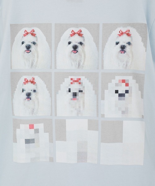 Candy Stripper(キャンディストリッパー)の「SHIH TZU LOW PIXEL Tシャツ(Tシャツ/カットソー・レディース・ピンク/ライトブルー/オフホワイト/チャコール・M/XL/L)」の16枚目の写真