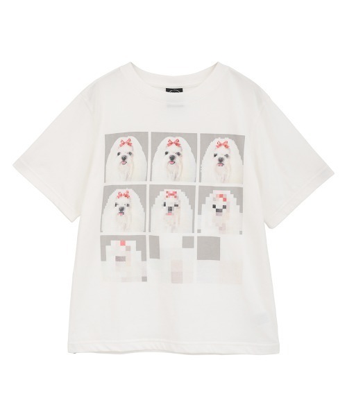 Candy Stripper(キャンディストリッパー)の「SHIH TZU LOW PIXEL Tシャツ(Tシャツ/カットソー・レディース・ピンク/ライトブルー/オフホワイト/チャコール・M/XL/L)」の11枚目の写真