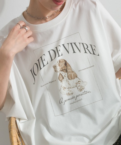 le colis（ルコリ）の「接触冷感 ゆるドルマン スパニエル プリント Tシャツ（Tシャツ/カットソー・レディース・ライトグリーン/オフホワイト/チャコールグレー・FREE）」の8枚目の写真
