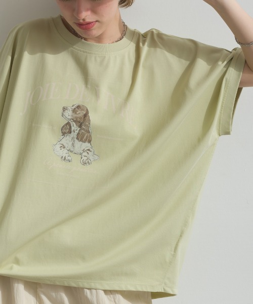 le colis（ルコリ）の「接触冷感 ゆるドルマン スパニエル プリント Tシャツ（Tシャツ/カットソー・レディース・ライトグリーン/オフホワイト/チャコールグレー・FREE）」の14枚目の写真