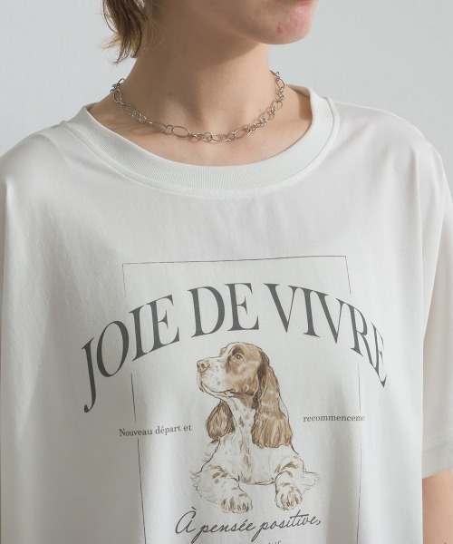 le colis（ルコリ）の「接触冷感 ゆるドルマン スパニエル プリント Tシャツ（Tシャツ/カットソー・レディース・ライトグリーン/オフホワイト/チャコールグレー・FREE）」の22枚目の写真