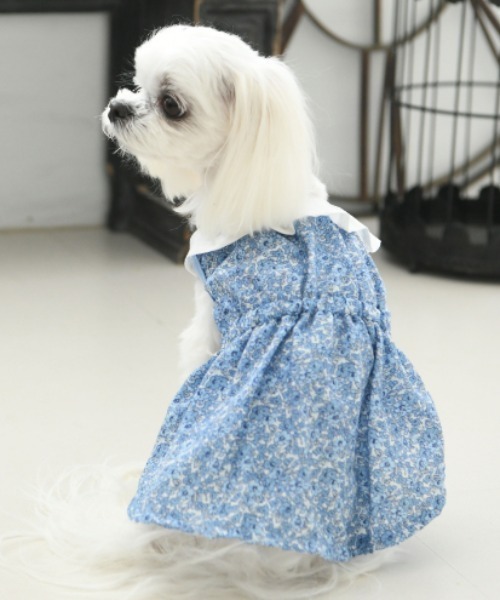 ローラアシュレイ　犬　服　ワンピース LAURA ASHLEY（ローラアシュレイ）ショルダーフリルAライン