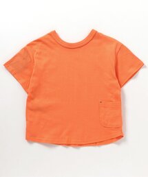 Tシャツ/カットソー（オレンジ/橙色系・ボーダー柄