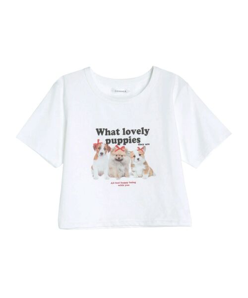 CALNAMUR(カルナムール)の「アソートプリントTシャツ(Tシャツ/カットソー・レディース・ネイビー/ホワイト/オフホワイト/グレー・FREE)」の2枚目の写真