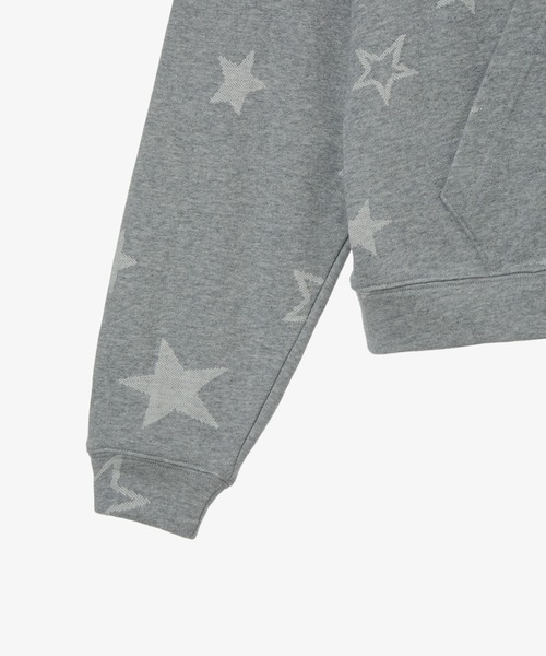 aeae（エーイーエーイー）の「WEB LOGO STAR LOOSED HOODIE（スウェット・レディース・グレー・SMALL/MEDIUM）」の5枚目の写真
