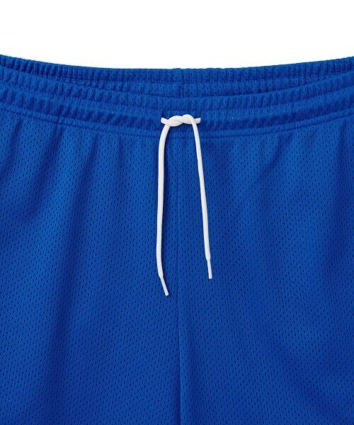 DISCUS ATHLETIC(ディスカス アスレチック)の「レターロゴメッシュショーツブルー(その他パンツ・レディース・その他・LARGE/MEDIUM/X-LARGE)」の3枚目の写真