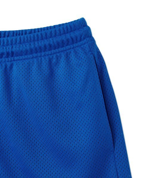 DISCUS ATHLETIC(ディスカス アスレチック)の「レターロゴメッシュショーツブルー(その他パンツ・レディース・その他・LARGE/MEDIUM/X-LARGE)」の4枚目の写真