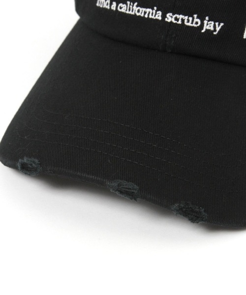 LEPSIM(レプシィム)の「ダメージ刺繍キャップ 641140(キャップ・レディース・ブラック/グリーン・ONE SIZE)」の10枚目の写真