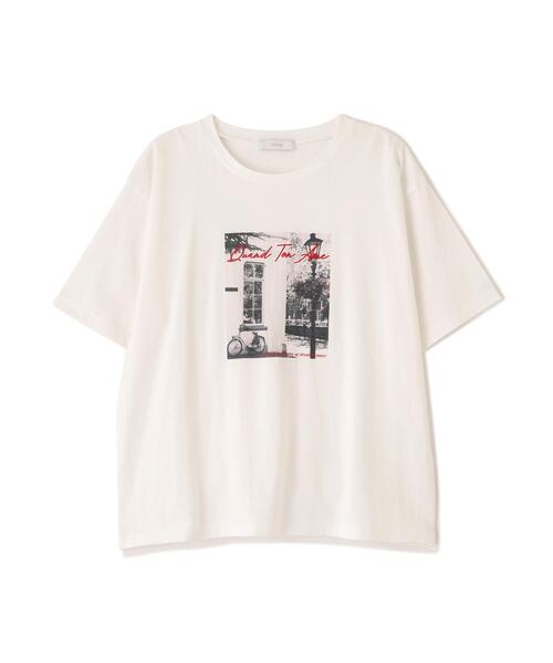PROPORTION BODY DRESSING（プロポーションボディドレッシング）の「＜ａ＞フォトプリントＴ / 1216169300（Tシャツ/カットソー・レディース・ホワイト/ホワイト系その他・FREE）」の22枚目の写真