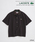 LACOSTE�i���R�X�e�j�́uLACOSTE / ���R�X�e �ʒ� �s�P �����V���c�i�V���c/�u���E�X�j�v�b�u���E��