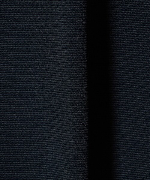 A DAY IN THE LIFE UNITED ARROWS(アデイインザライフユナイテッドアローズ)の「リップル ボートネック 6分袖カットソー<A DAY IN THE LIFE>(Tシャツ/カットソー・メンズ・ネイビー/ホワイト・L/S/M)」の13枚目の写真