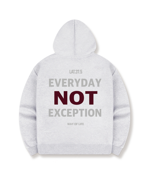 BASIC LABEL（ベーシックラベル）の「No Exception Oversized Hoodie 5 Color [BLBI_2002]（パーカー・レディース・ネイビー/ホワイト/ブラック/アイボリー/グレー・SMALL/MEDIUM/LARGE/X-LARGE）」の2枚目の写真