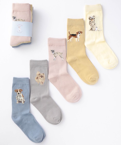 Jubilee（ジュビリー）の「ドッグ 犬デザイン ソックス5足セット（ソックス/靴下・レディース・その他1/その他2/その他3/その他4/その他/その他5・FREE）」の3枚目の写真