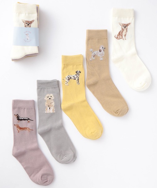 Jubilee（ジュビリー）の「ドッグ 犬デザイン ソックス5足セット（ソックス/靴下・レディース・その他1/その他2/その他3/その他4/その他/その他5・FREE）」の4枚目の写真
