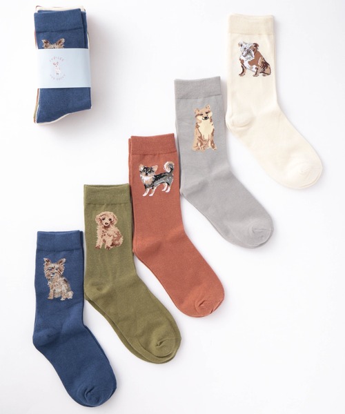 Jubilee（ジュビリー）の「ドッグ 犬デザイン ソックス5足セット（ソックス/靴下・レディース・その他1/その他2/その他3/その他4/その他/その他5・FREE）」の6枚目の写真