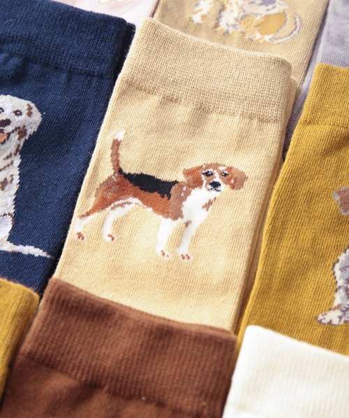 Jubilee（ジュビリー）の「ドッグ 犬デザイン ソックス5足セット（ソックス/靴下・レディース・その他1/その他2/その他3/その他4/その他/その他5・FREE）」の10枚目の写真