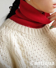 antiqua | 綿100％タートルリブニット(ニット/セーター)