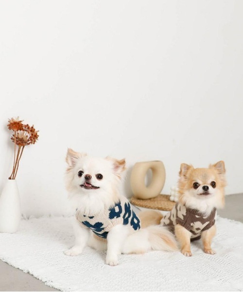 moncheri（モンシェリ）の「サスティナブルフラワーニットベスト / 犬服 / ドッグウェア（ペットウェア・レディース・ベージュ/モカ・S/M/L/XL/XS/2M）」の7枚目の写真