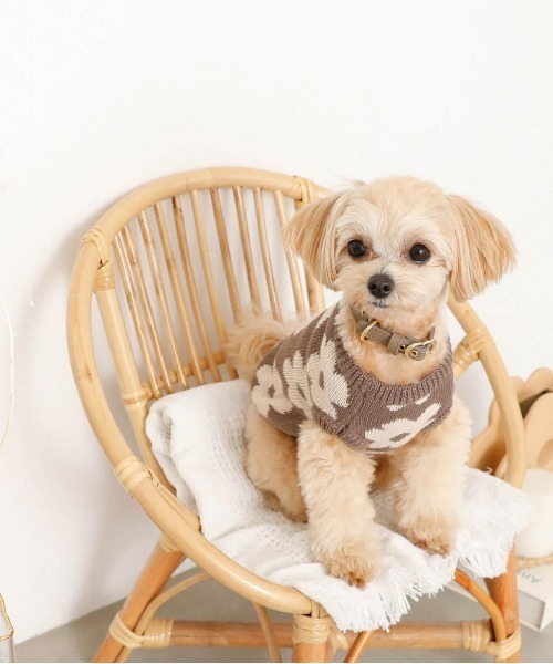 moncheri（モンシェリ）の「サスティナブルフラワーニットベスト / 犬服 / ドッグウェア（ペットウェア・レディース・ベージュ/モカ・S/M/L/XL/XS/2M）」の3枚目の写真