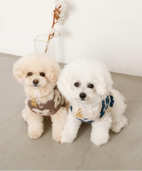 moncheri（モンシェリ）の「サスティナブルフラワーニットベスト / 犬服 / ドッグウェア（ペットウェア・レディース・ベージュ/モカ・S/M/L/XL/XS/2M）」の11枚目の写真