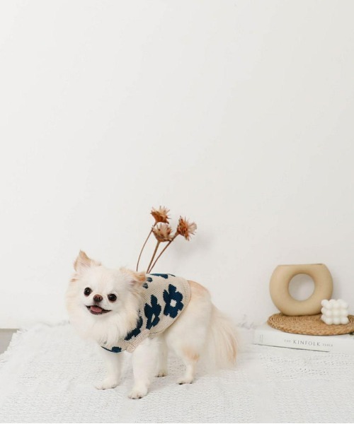 moncheri（モンシェリ）の「サスティナブルフラワーニットベスト / 犬服 / ドッグウェア（ペットウェア・レディース・ベージュ/モカ・S/M/L/XL/XS/2M）」の8枚目の写真