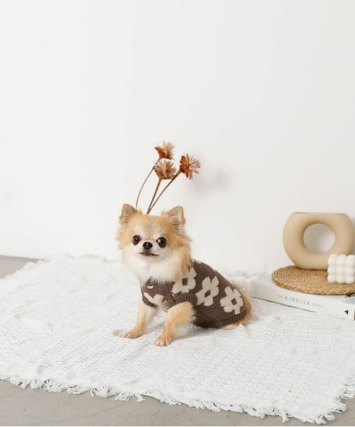 moncheri（モンシェリ）の「サスティナブルフラワーニットベスト / 犬服 / ドッグウェア（ペットウェア・レディース・ベージュ/モカ・S/M/L/XL/XS/2M）」の9枚目の写真