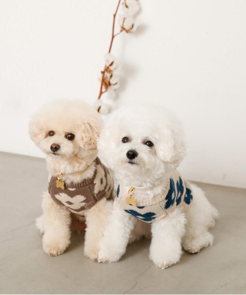 moncheri（モンシェリ）の「サスティナブルフラワーニットベスト / 犬服 / ドッグウェア（ペットウェア・レディース・ベージュ/モカ・S/M/L/XL/XS/2M）」の10枚目の写真