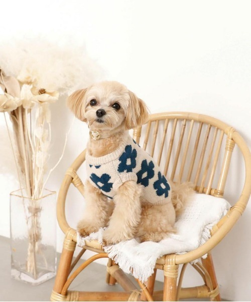 moncheri（モンシェリ）の「サスティナブルフラワーニットベスト / 犬服 / ドッグウェア（ペットウェア・レディース・ベージュ/モカ・S/M/L/XL/XS/2M）」の5枚目の写真
