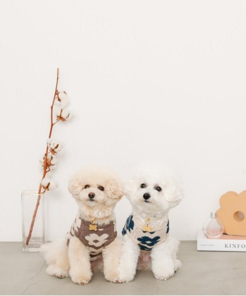 moncheri（モンシェリ）の「サスティナブルフラワーニットベスト / 犬服 / ドッグウェア（ペットウェア・レディース・ベージュ/モカ・S/M/L/XL/XS/2M）」の12枚目の写真