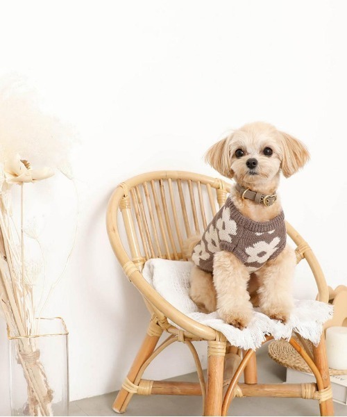 moncheri（モンシェリ）の「サスティナブルフラワーニットベスト / 犬服 / ドッグウェア（ペットウェア・レディース・ベージュ/モカ・S/M/L/XL/XS/2M）」の4枚目の写真