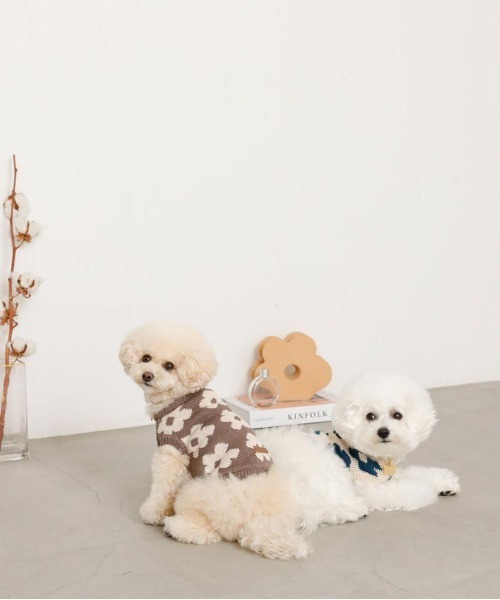 moncheri（モンシェリ）の「サスティナブルフラワーニットベスト / 犬服 / ドッグウェア（ペットウェア・レディース・ベージュ/モカ・S/M/L/XL/XS/2M）」の14枚目の写真