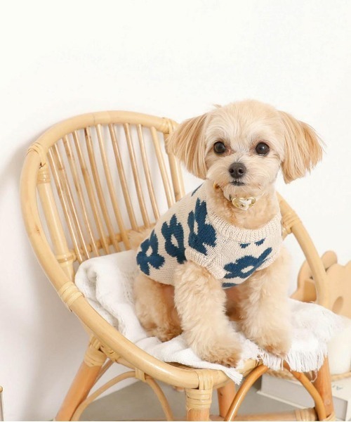 moncheri（モンシェリ）の「サスティナブルフラワーニットベスト / 犬服 / ドッグウェア（ペットウェア・レディース・ベージュ/モカ・S/M/L/XL/XS/2M）」の6枚目の写真