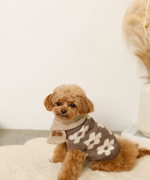 moncheri（モンシェリ）の「サスティナブルフラワーニットベスト / 犬服 / ドッグウェア（ペットウェア・レディース・ベージュ/モカ・S/M/L/XL/XS/2M）」の7枚目の写真