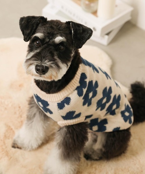 moncheri（モンシェリ）の「サスティナブルフラワーニットベスト / 犬服 / ドッグウェア（ペットウェア・レディース・ベージュ/モカ・S/M/L/XL/XS/2M）」の3枚目の写真