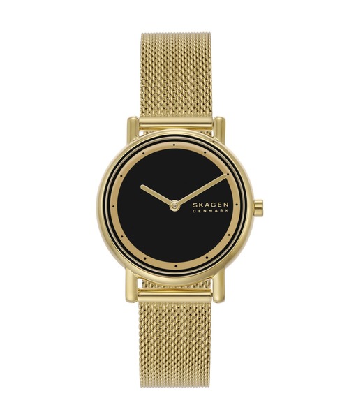 SKAGEN（スカーゲン）の「スカーゲン 腕時計 レディース アナログ ステンレス SKW3111（アナログ腕時計・レディース・ゴールド・FREE）」の11枚目の写真