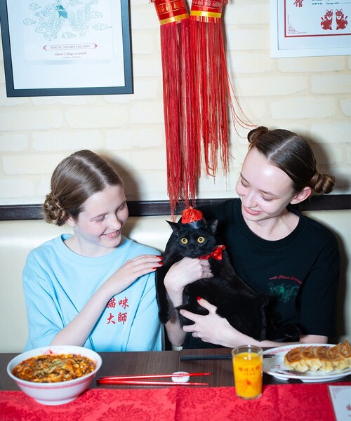 中川翔子 しょこたん 貪ぶり セット 丼ぶり レンゲ 食器 マミタス 中川翔子 しょこたん 貪ぶり セット 丼ぶり レンゲ 食器 マミタス