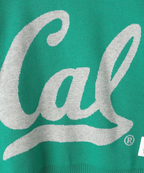 DISCUS ATHLETIC（ディスカス　アスレチック）の「【WEB限定・DISCUS（ディスカス）】 カレッジロゴジャガードニット③（ニット/セーター・レディース・オレンジ/ケリーグリーン・M/L）」の20枚目の写真