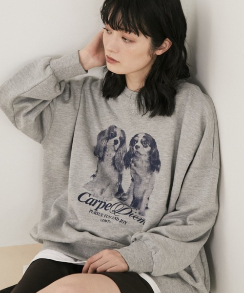 MERLOT（メルロー）の「アソートアニマルプリントスウェット（スウェット・レディース・グレー/ホワイト・FREE）」の22枚目の写真