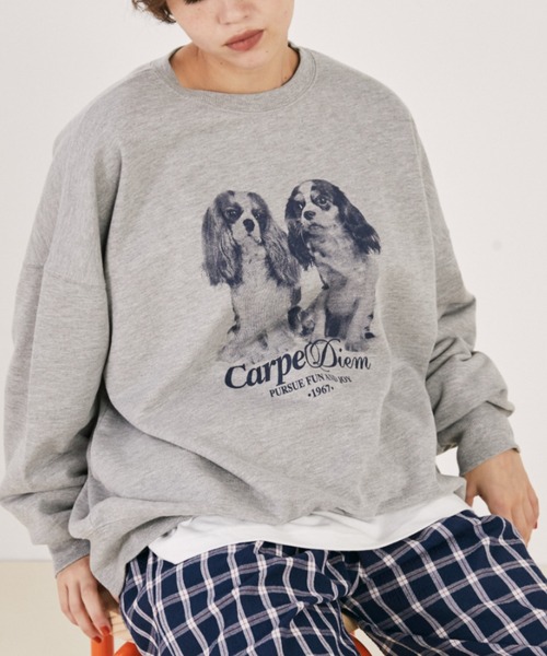 MERLOT（メルロー）の「アソートアニマルプリントスウェット（スウェット・レディース・グレー/ホワイト・FREE）」の17枚目の写真