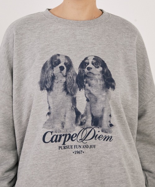 MERLOT（メルロー）の「アソートアニマルプリントスウェット（スウェット・レディース・グレー/ホワイト・FREE）」の10枚目の写真