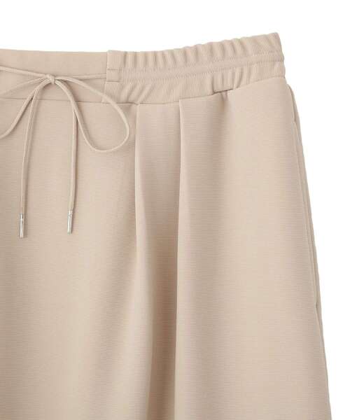 Green　Parks（グリーンパークス）の「楽ちんリップルIラインスカート（スカート・レディース・パープル/ライトベージュ/ブラック・FREE）」の12枚目の写真