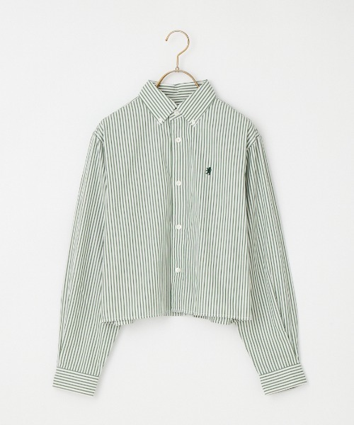GYMPHLEX（ジムフレックス）の「[GYMPHLEX/ジムフレックス] ショート丈 ボタンダウン タイプライター マルチストライプシャツ（シャツ/ブラウス・レディース・グリーン・12）」の13枚目の写真